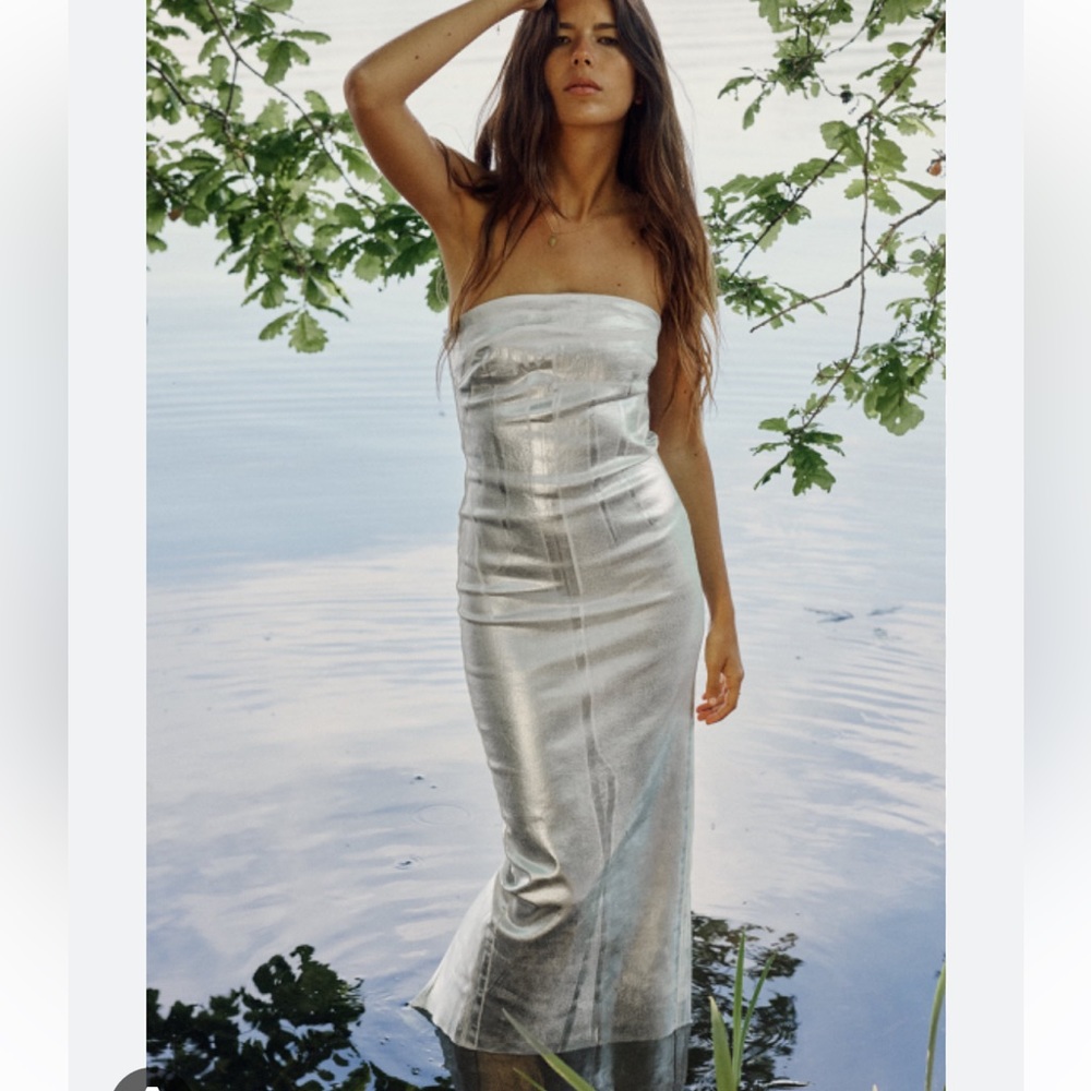 Brand new Zara dress, never worn with tags